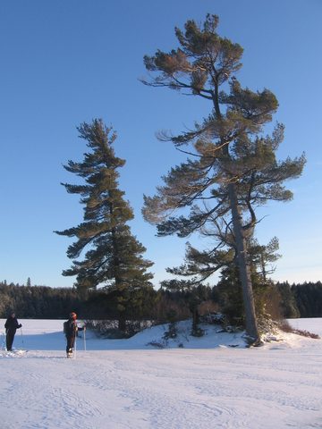 Photo from Ski camping, Minnesing Wilderness Trail, Algonquin, complete trail