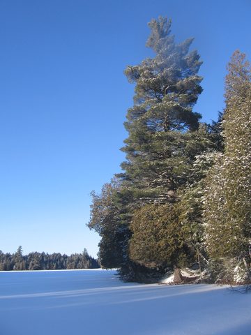 Photo from Ski camping, Minnesing Wilderness Trail, Algonquin, complete trail
