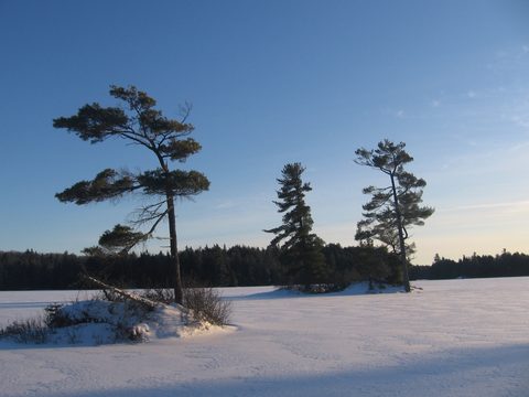 Photo from Ski camping, Minnesing Wilderness Trail, Algonquin, complete trail