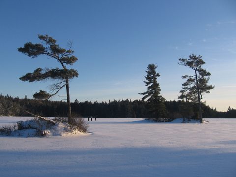 Photo from Ski camping, Minnesing Wilderness Trail, Algonquin, complete trail
