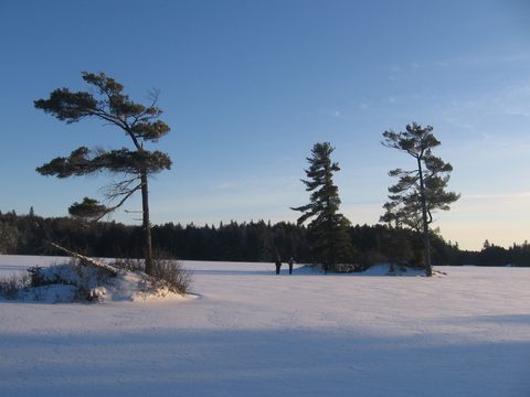 Photo from Ski camping, Minnesing Wilderness Trail, Algonquin, complete trail