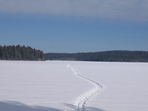 Photo from Ski camping, Minnesing Wilderness Trail, Algonquin, complete trail