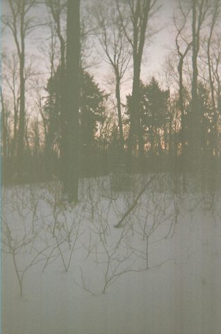 Photo from Ski camping, Minnesing Wilderness Trail, Algonquin, complete trail