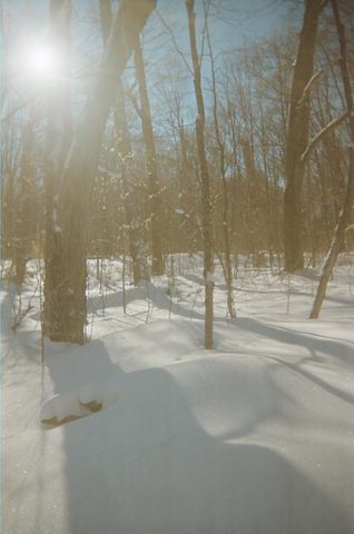 Photo from Ski camping, Minnesing Wilderness Trail, Algonquin, complete trail
