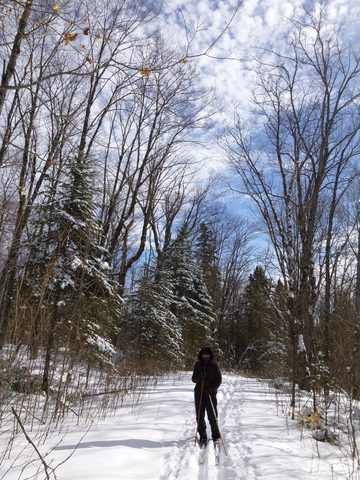 Photo from Ski camping, Minnesing Wilderness Trail, Algonquin, complete trail