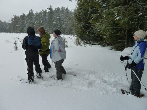 Photo from Snowshoe camping, Killarney Provincial Park