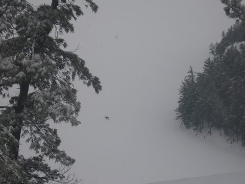 Photo from Snowshoe camping, Killarney Provincial Park