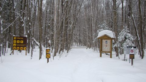 Photo from Snowshoe camping, Killarney Provincial Park