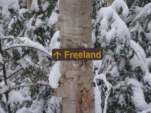 Photo from Snowshoe camping, Killarney Provincial Park