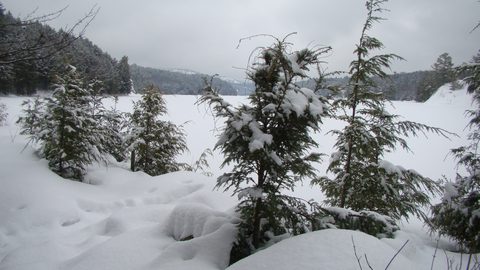 Photo from Snowshoe camping, Killarney Provincial Park