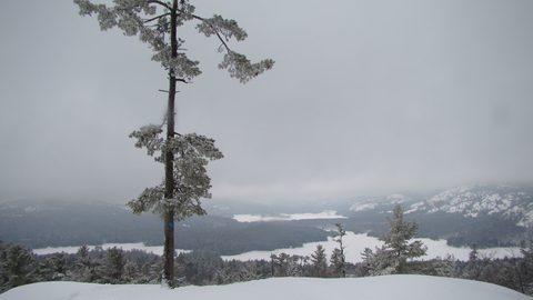 Photo from Snowshoe camping, Killarney Provincial Park