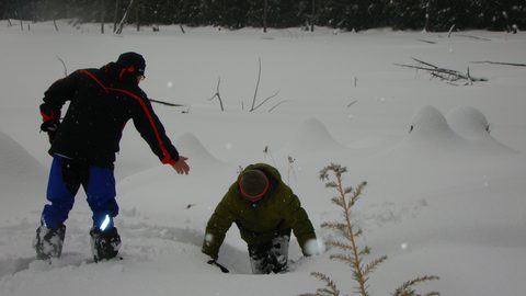 Photo from Snowshoe camping, Killarney Provincial Park