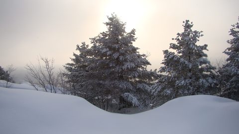 Photo from Snowshoe camping, Killarney Provincial Park