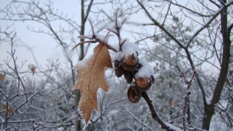 Photo from Snowshoe camping, Killarney Provincial Park