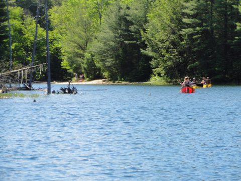 Photo from Canoeing & Hike, Killarney Provincial Park