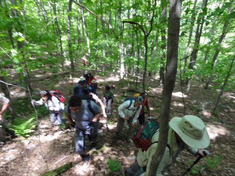 Photo from Canoeing & Hike, Killarney Provincial Park