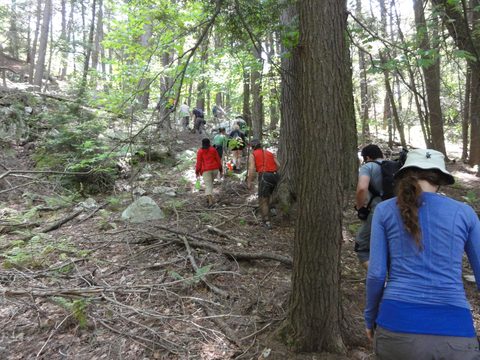 Photo from Canoeing & Hike, Killarney Provincial Park