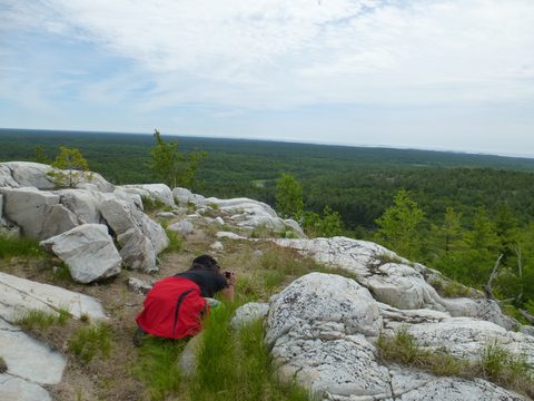 Photo from Canoeing & Hike, Killarney Provincial Park