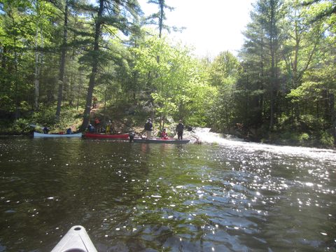 Photo from Canoeing, Queen Elizabeth II Wildlands