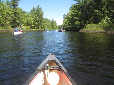 Photo from Canoeing, Queen Elizabeth II Wildlands