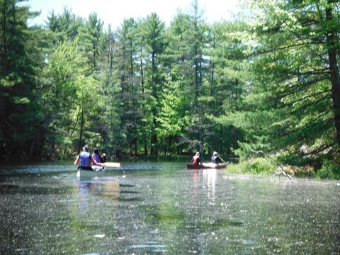 Photo from Canoeing, Queen Elizabeth II Wildlands