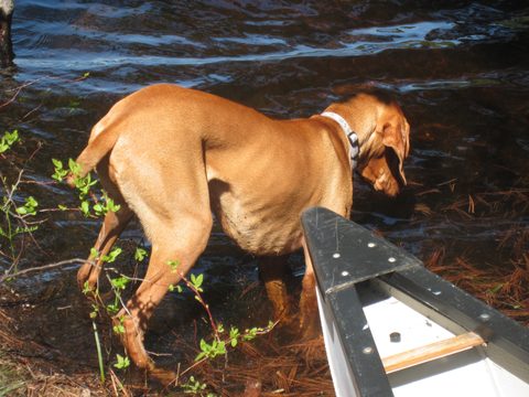 Photo from Canoeing, Queen Elizabeth II Wildlands