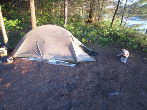 Photo from Canoeing, Queen Elizabeth II Wildlands
