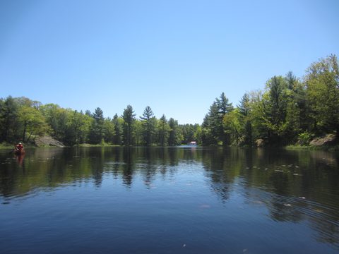 Photo from Canoeing, Queen Elizabeth II Wildlands