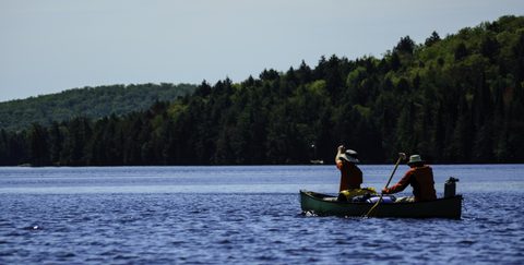 Photo from Canoeing, Bonnechere Lake, Algonquin