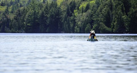 Photo from Canoeing, Bonnechere Lake, Algonquin
