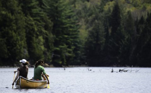 Photo from Canoeing, Bonnechere Lake, Algonquin