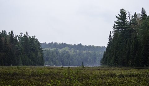 Photo from Canoeing, Bonnechere Lake, Algonquin