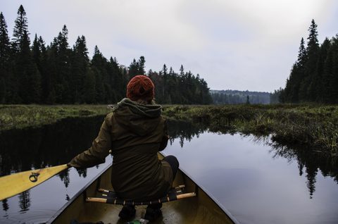 Photo from Canoeing, Bonnechere Lake, Algonquin