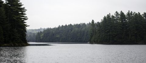 Photo from Canoeing, Bonnechere Lake, Algonquin