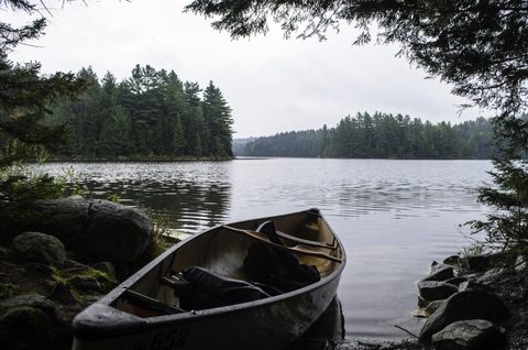 Photo from Canoeing, Bonnechere Lake, Algonquin