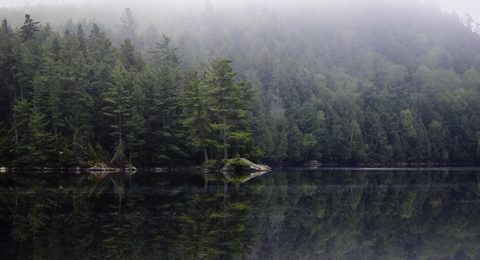 Photo from Canoeing, Bonnechere Lake, Algonquin
