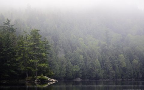 Photo from Canoeing, Bonnechere Lake, Algonquin