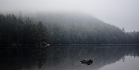 Photo from Canoeing, Bonnechere Lake, Algonquin