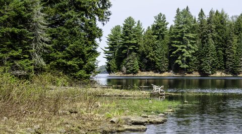 Photo from Canoeing, Bonnechere Lake, Algonquin