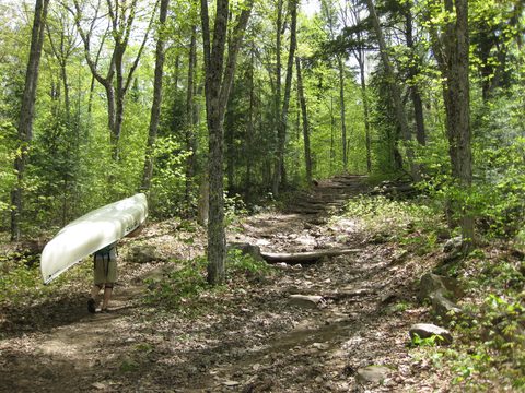 Photo from Canoeing, Bonnechere Lake, Algonquin