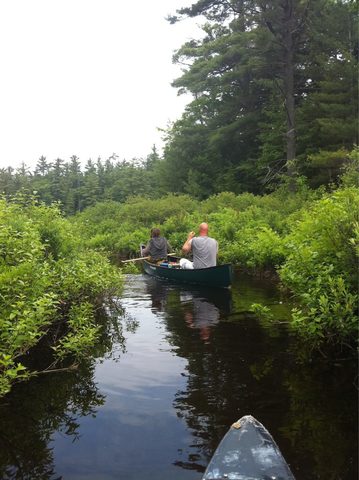Photo from Canoeing/Kayaking, Massasauga Provincial Park