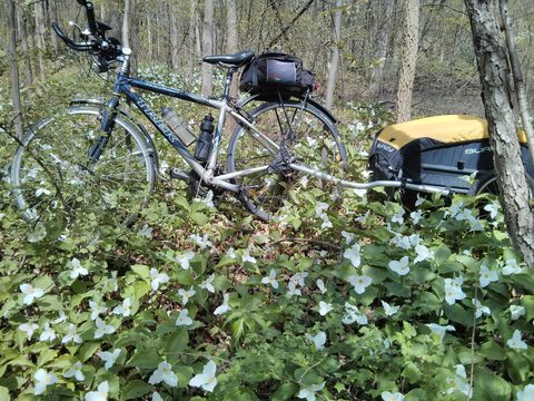Photo from Bike Camping, Port Burwell