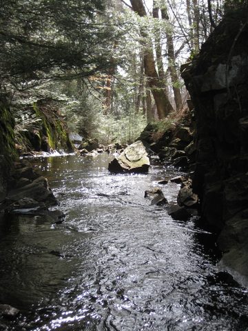 Creek view from that first break location