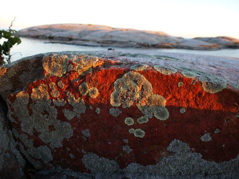 Photo from Kayaking, Churchill Islands, Georgian Bay
