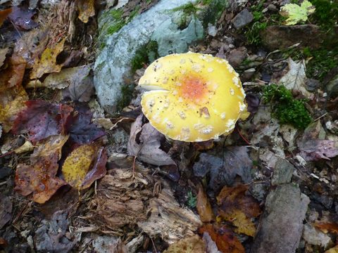 Photo from Trekking with Chev ~ Return to Bon Echo~ A backpacking Adventure