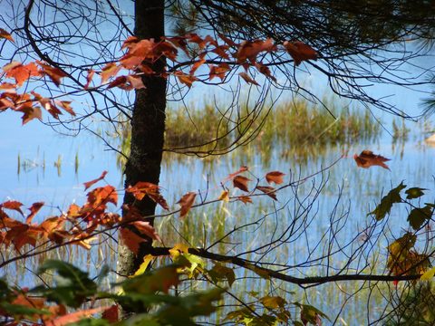 Photo from Trekking with Chev ~ Return to Bon Echo~ A backpacking Adventure