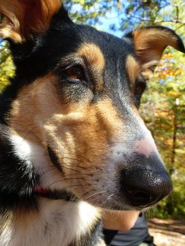 Photo from Trekking with Chev ~ Return to Bon Echo~ A backpacking Adventure