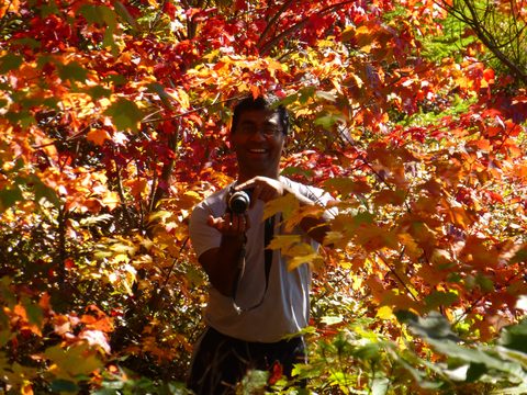 Photo from Trekking with Chev ~ Return to Bon Echo~ A backpacking Adventure