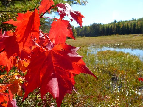 Photo from Trekking with Chev ~ Return to Bon Echo~ A backpacking Adventure