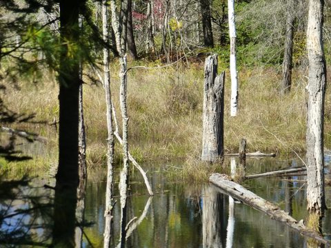 Photo from Trekking with Chev ~ Return to Bon Echo~ A backpacking Adventure